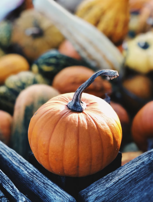 🎃 Kürbis aus dem Airfryer – schnell, lecker & knusprig mit dem Duronic AF34