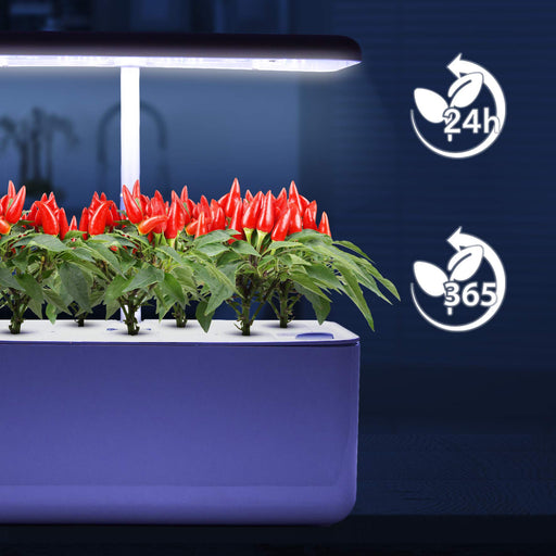 Duronic GHS37 Hydroponische Anzuchtsysteme | Indoor Anzuchtsysteme 25 W mit Pflanzenlampe für 7 Pflanzen | 70 x LED Spectrum-Lampen: Weiß, Rot & Blau | 3 Wachstumsmodi