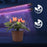 Duronic GLC24 Pflanzenlampe - Vollspektrum Wachstumslampe mit 36x rote & blaue LED-Lampen - 3 Farbmodi - Pflanzenleuchte mit Schwanenhals in 6 Lichtstärken - 40W Pflanzenlicht für Pflanzen und Kräuter