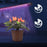 Duronic GLC12 Pflanzenlampe - Vollspektrum Wachstumslampe mit 18x rote & blaue LED-Lampen - 3 Farbmodi - Pflanzenleuchte mit Schwanenhals in 6 Lichtstärken - 20W Pflanzenlicht für Pflanzen und Kräuter
