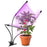 Duronic GLC36 Pflanzenlampe - Vollspektrum Wachstumslampe mit 54x rote & blaue LED-Lampen - 3 Farbmodi - Pflanzenleuchte mit Schwanenhals in 6 Lichtstärken - 60W Pflanzenlicht für Pflanzen und Kräuter